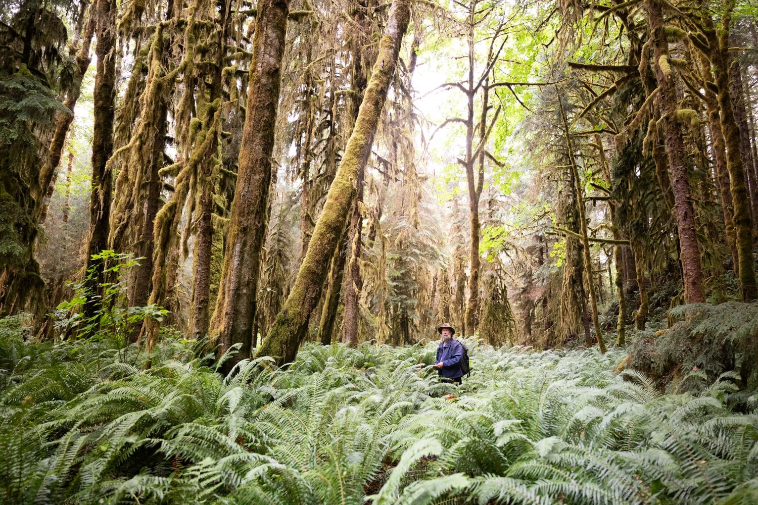 vital impacts-25.jpg