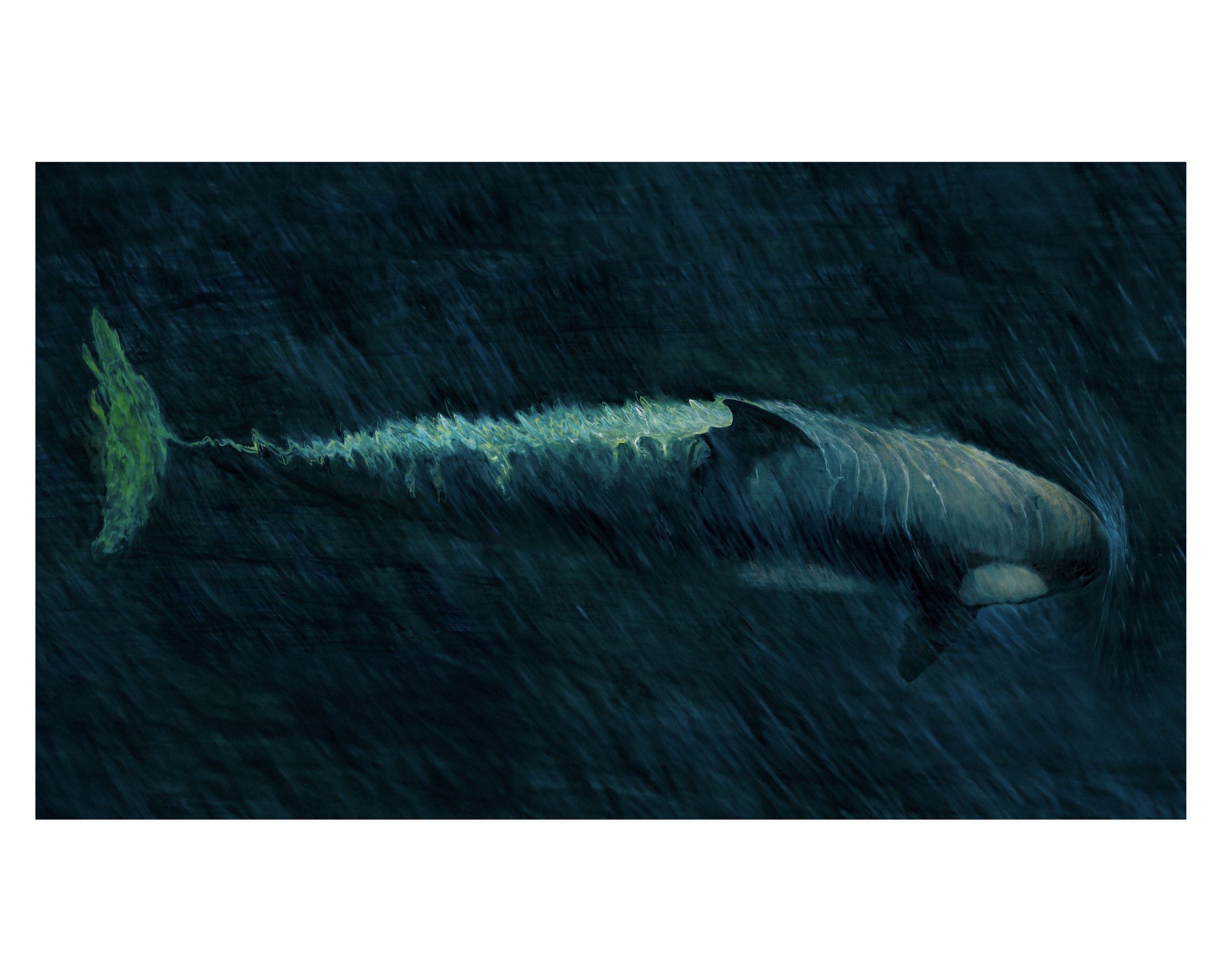 Nikki Baxendale revised 8x10 orca .jpg