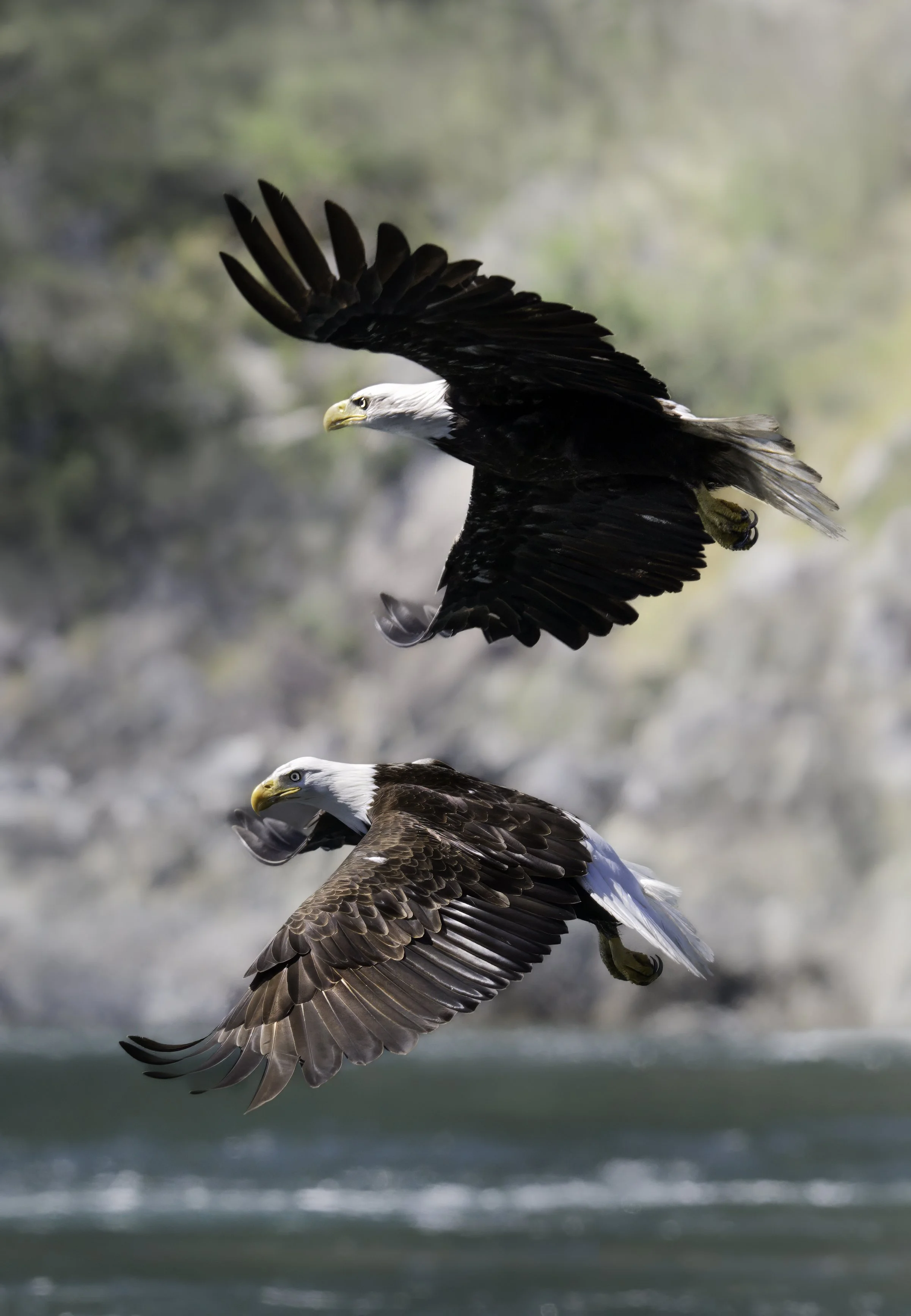 Twin flight copy.jpg