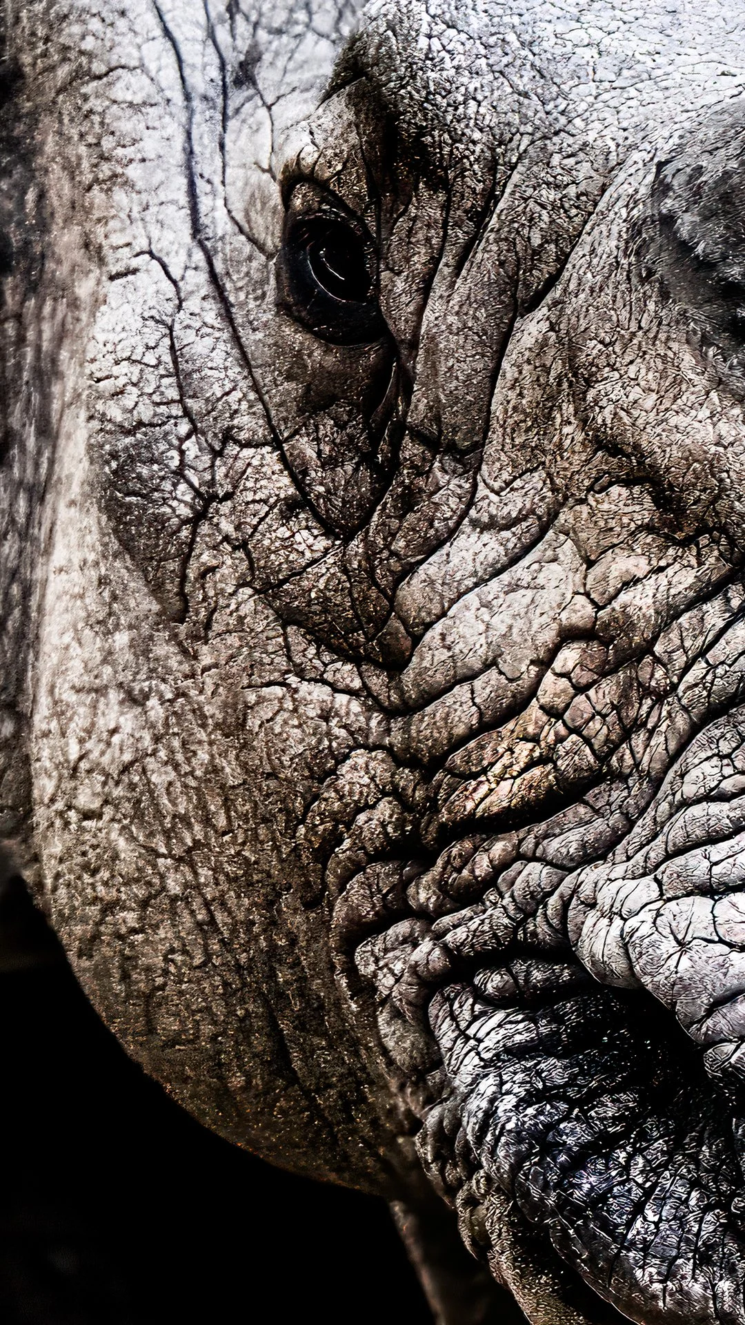 rhino mobile zoom.jpg