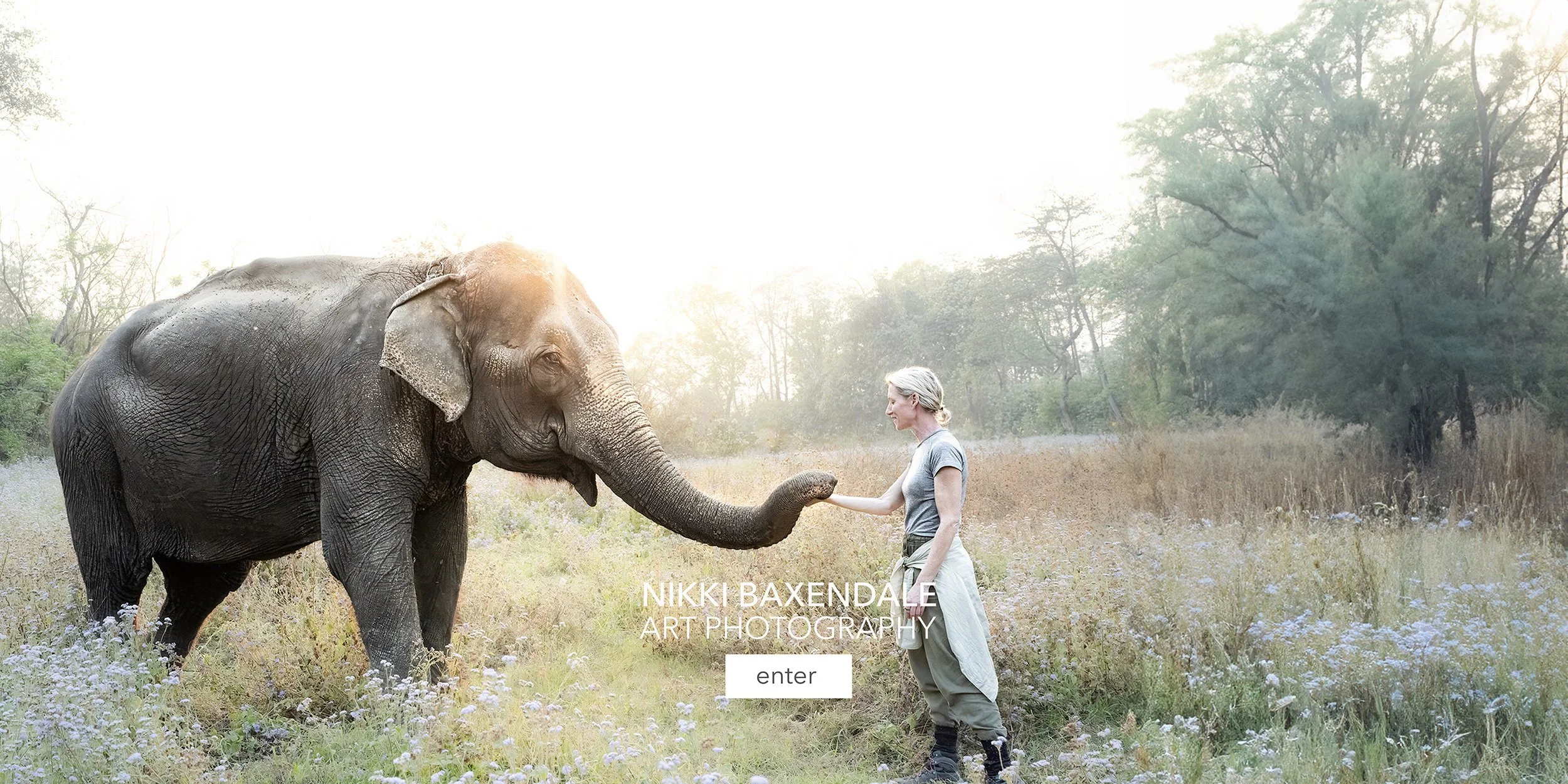 Landing page telephants.jpg
