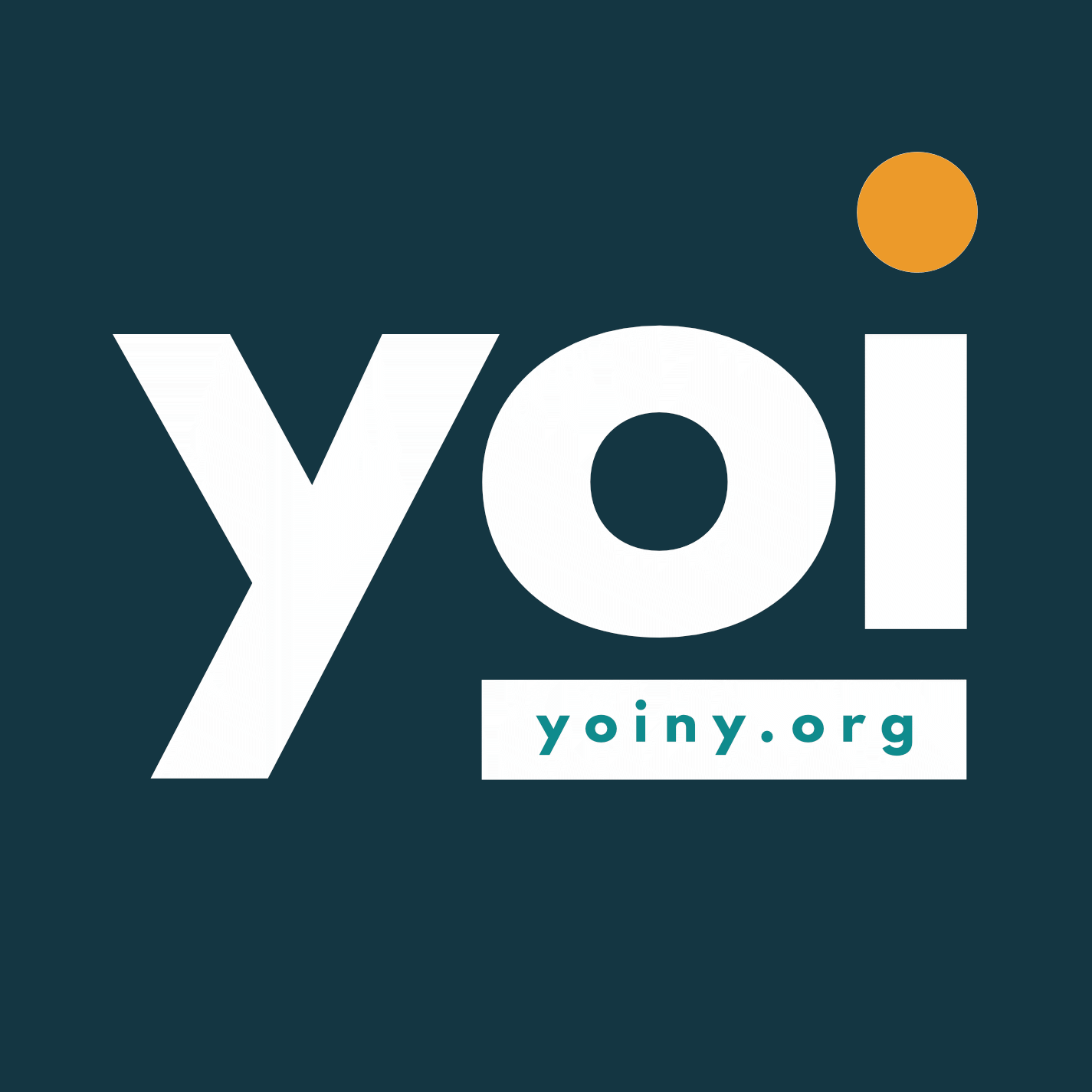 Youth Organizing Institute