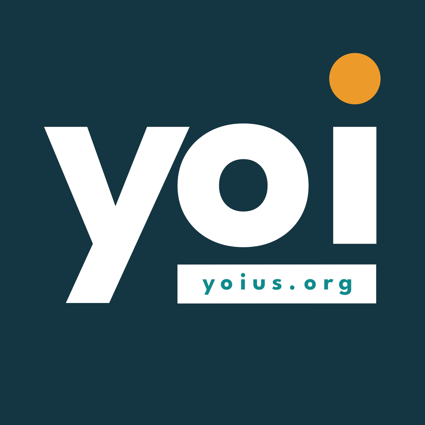 Youth Organizing Institute