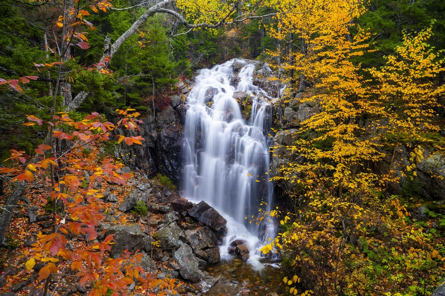 Maine and More Photography — Benjamin Williamson Photography