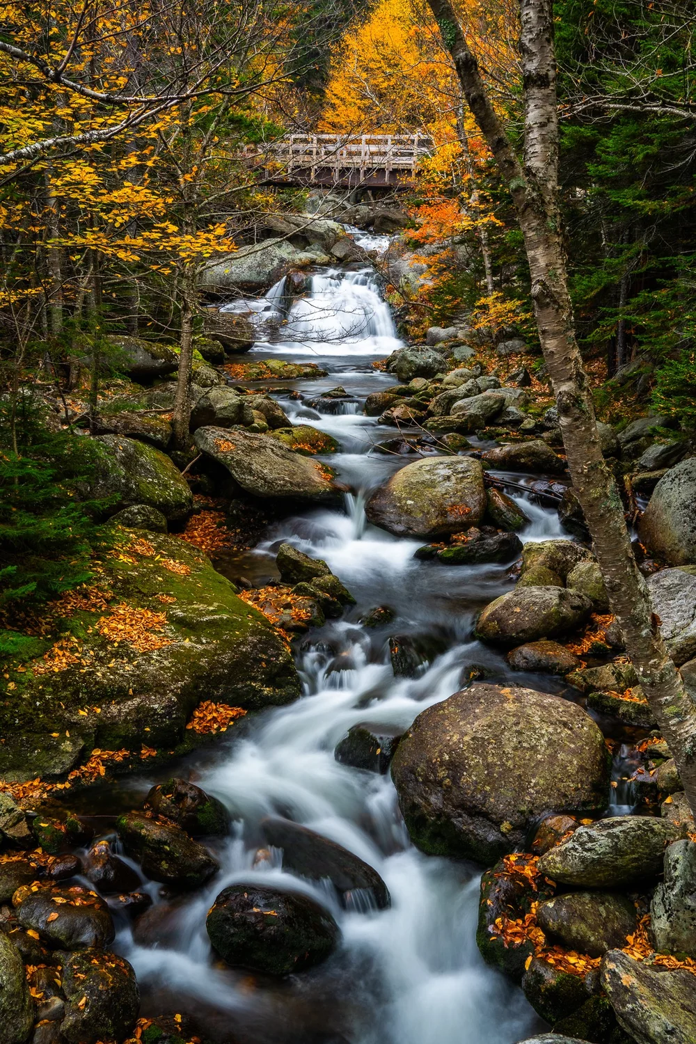 New Hampshire Fall Foliage 2025 — Benjamin Williamson Photography