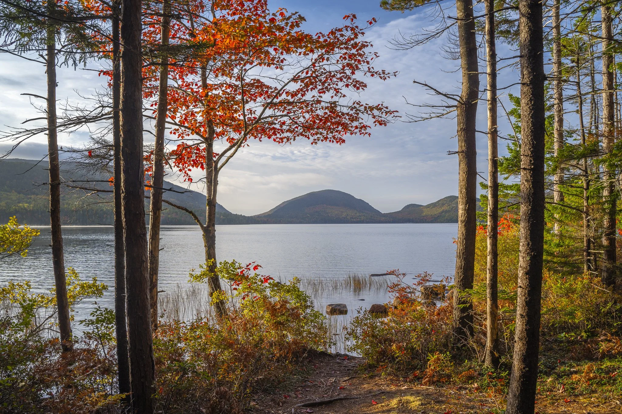 Maine and More Photography — Benjamin Williamson Photography