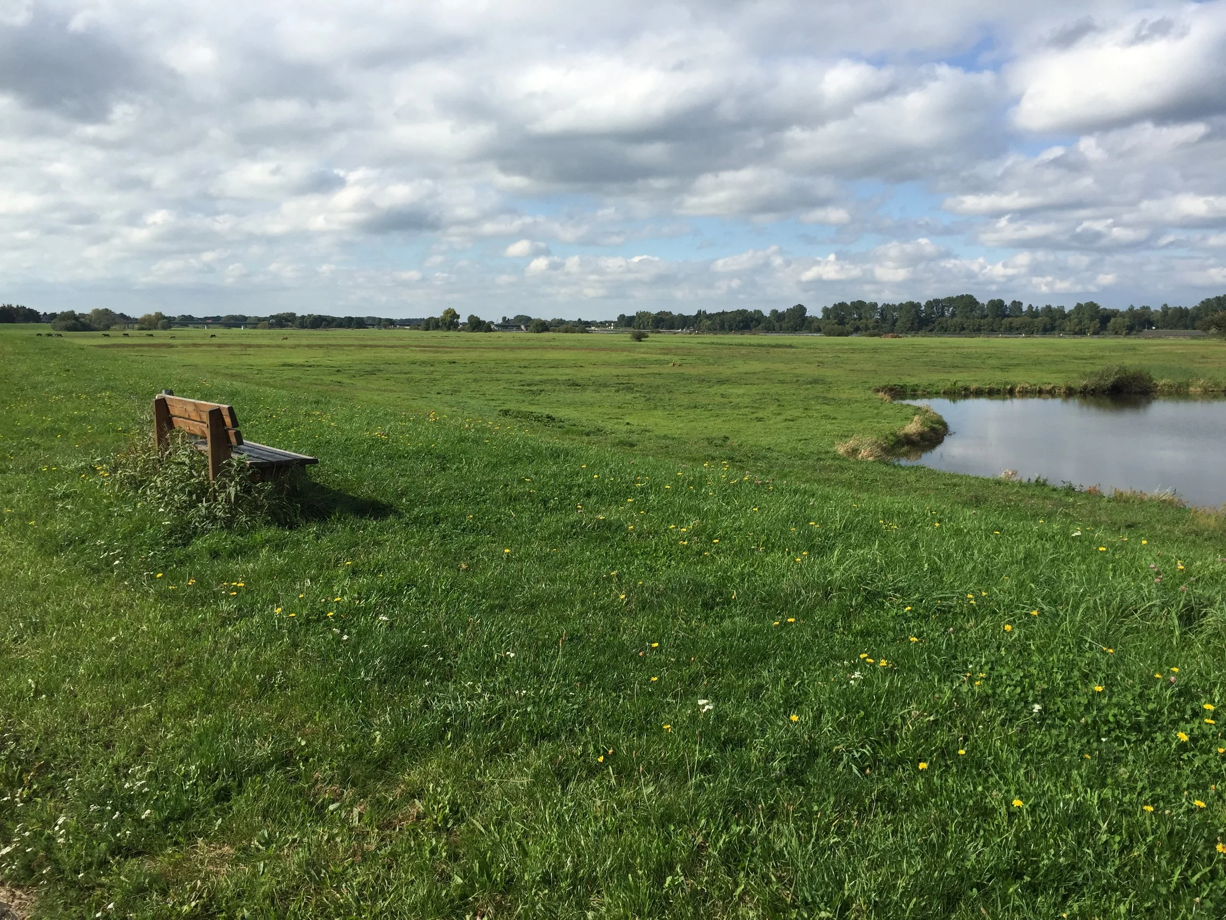 THE ELBE BACKSTORY