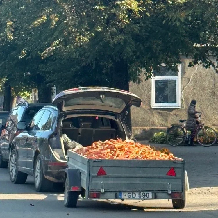 mail+%284%29.jpg