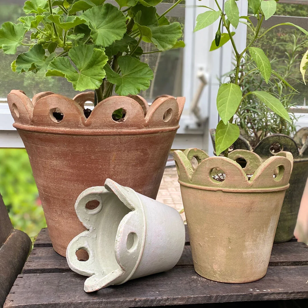 Botanical Collections