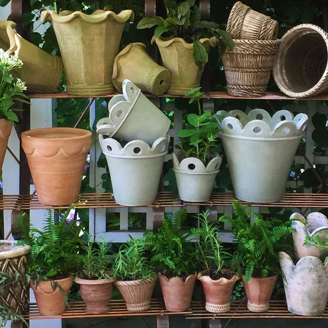 Botanical Collections