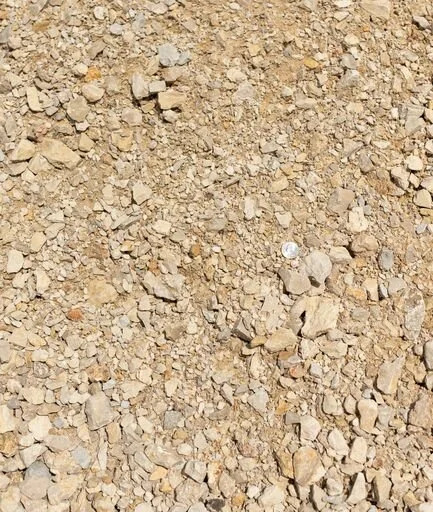 Close-up of light-colored gravel mixed with small rocks and a coin for scale.