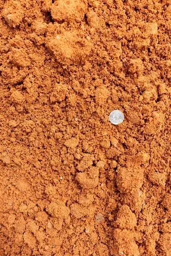 Close-up of red sand with a quarter coin for scale, highlighting the coarse texture and color.