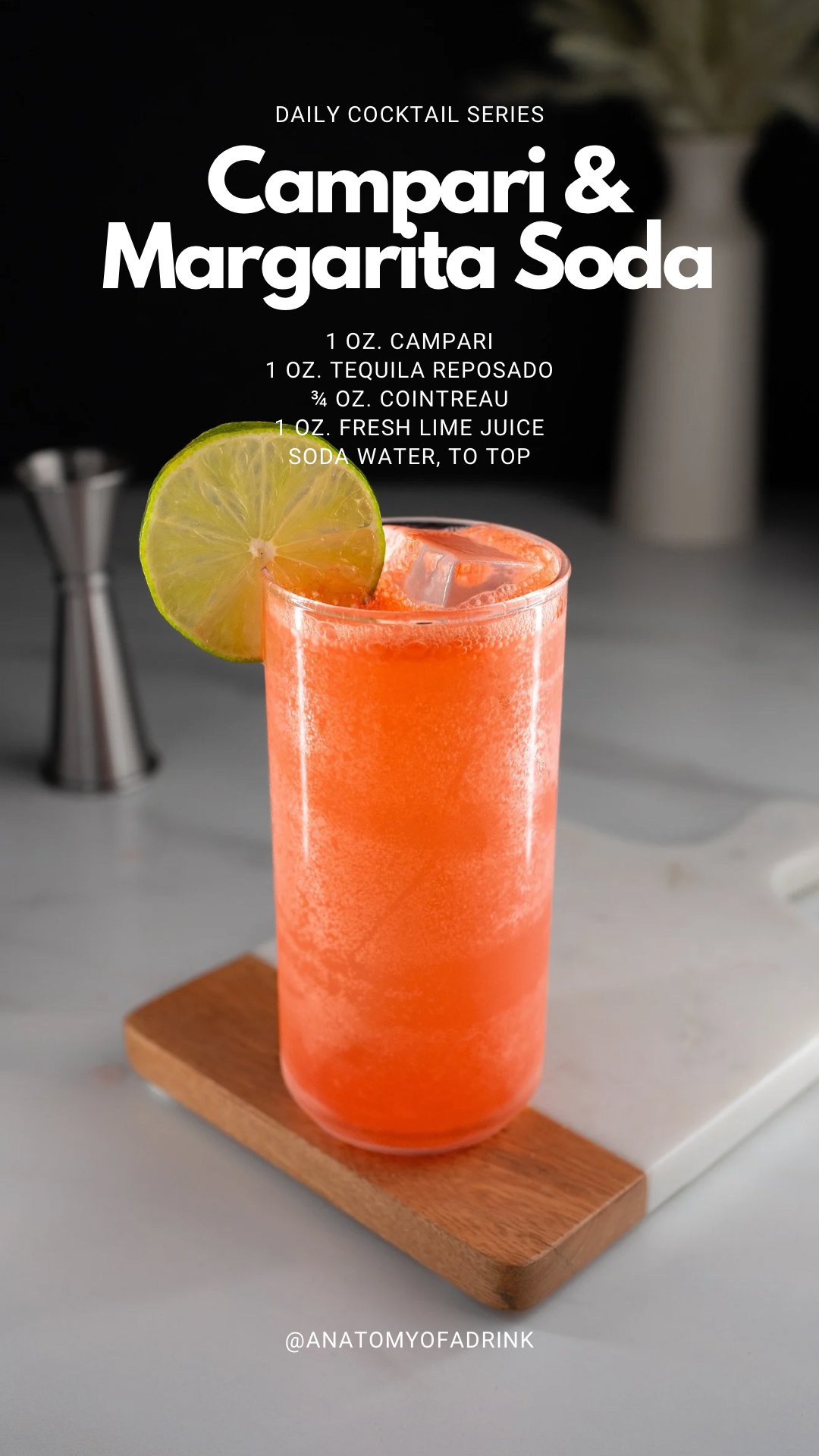 Campari &amp; Margarita Soda