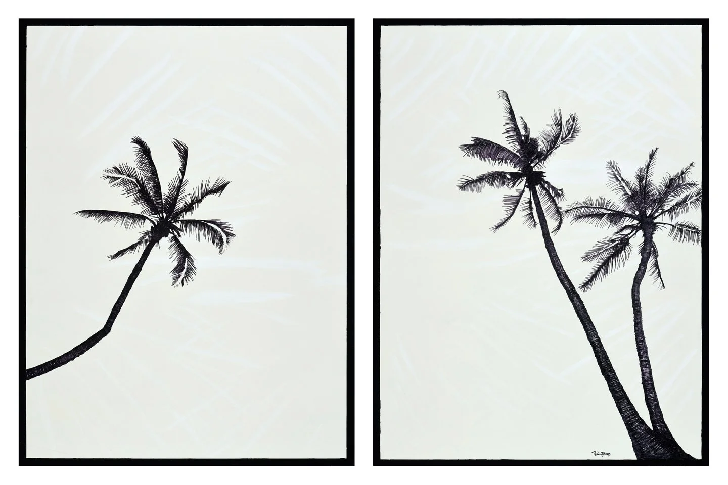 Stagily Palms