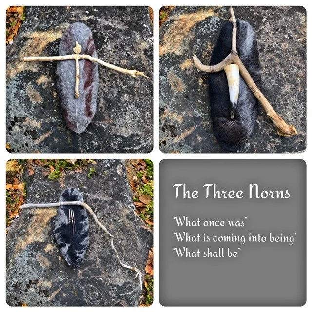 The You in Evolution