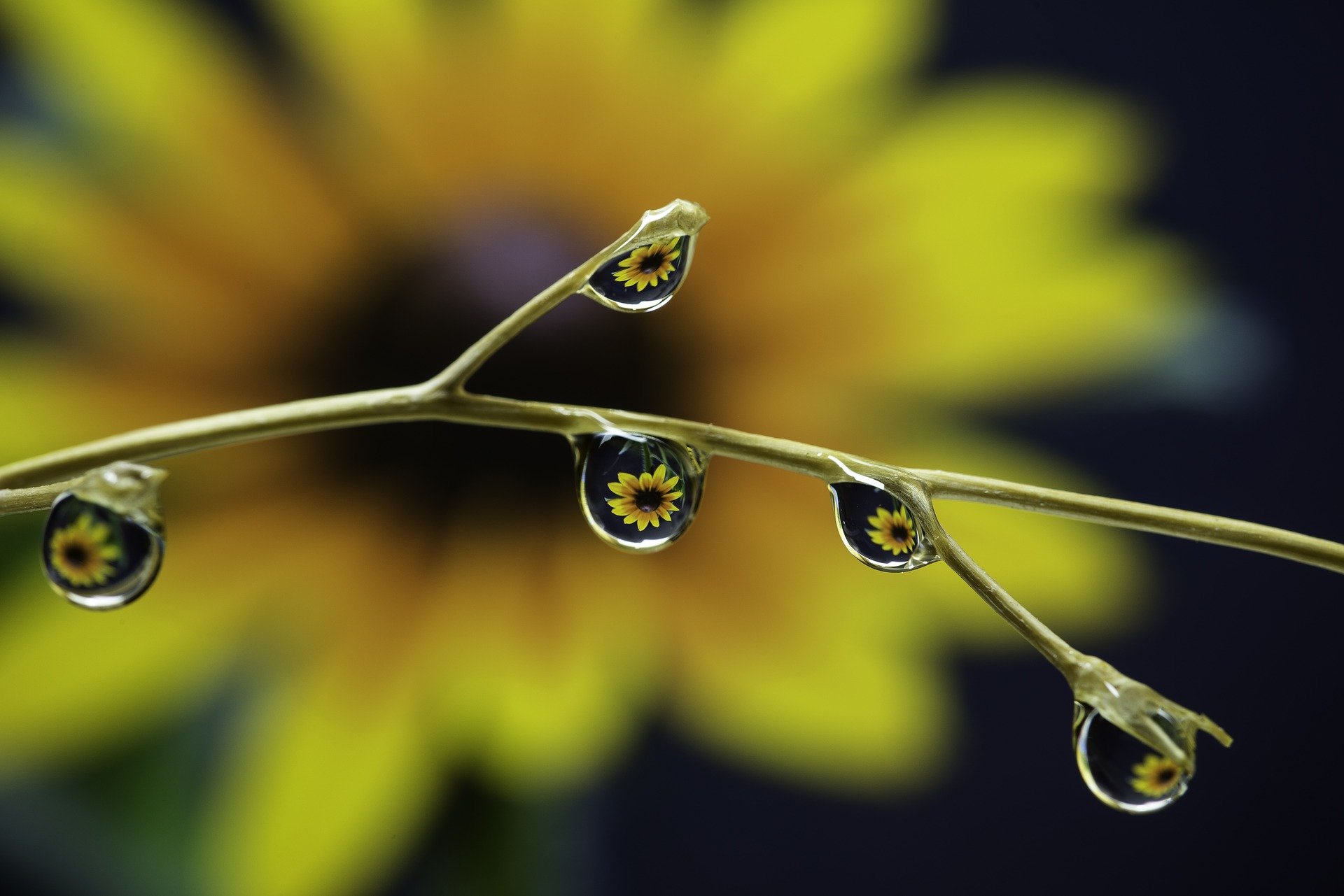 droplets-3263600_1920.jpg