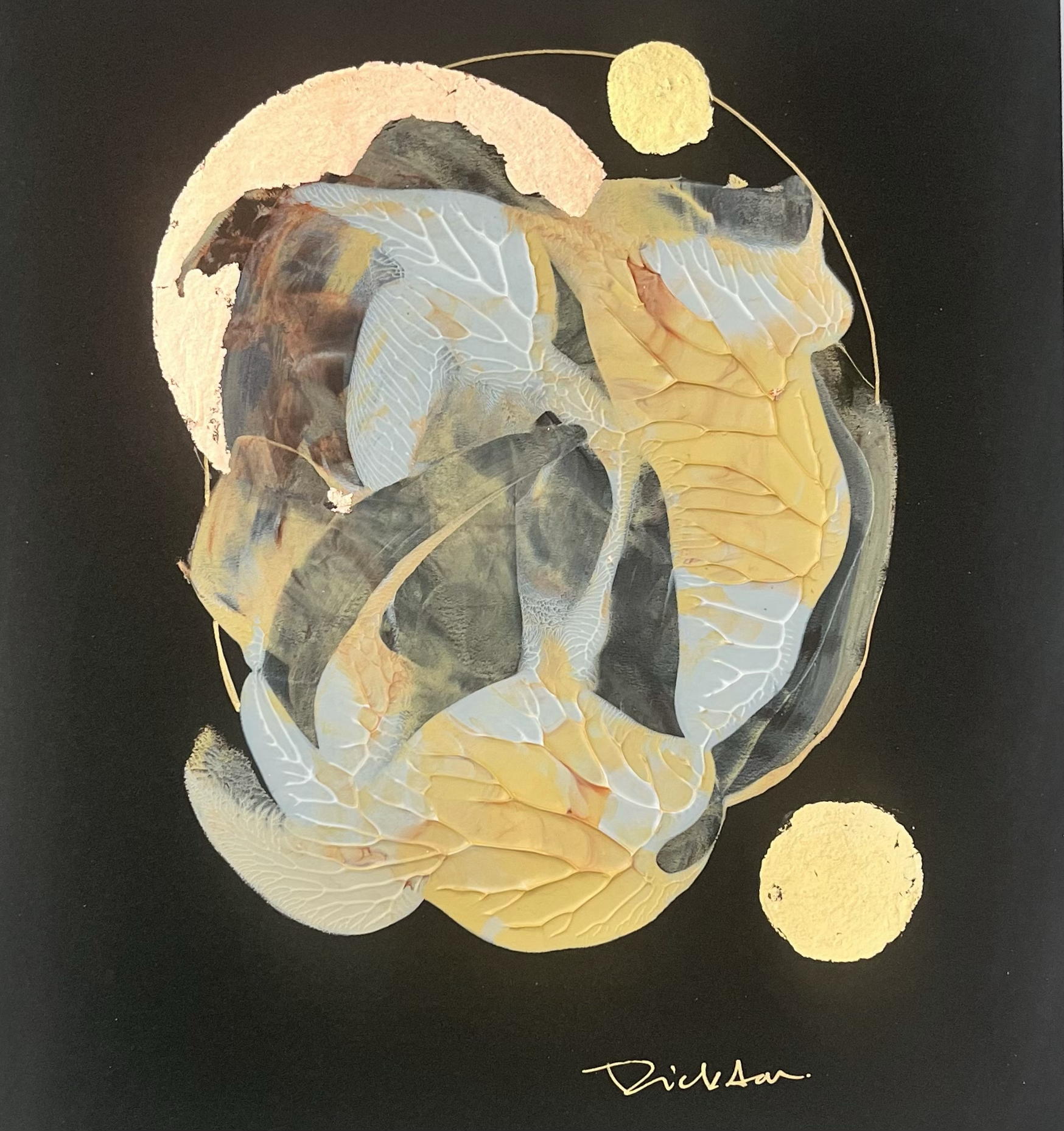 Night Moves Collection