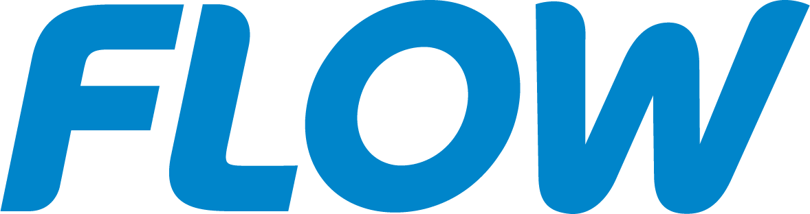 The word 'FLOW' in bold, blue, stylized text.