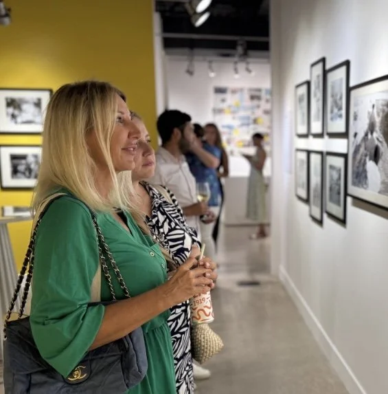 Cayman Art Week Daily Opening Hours