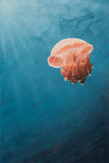 Jelly_Thailand_001.jpeg
