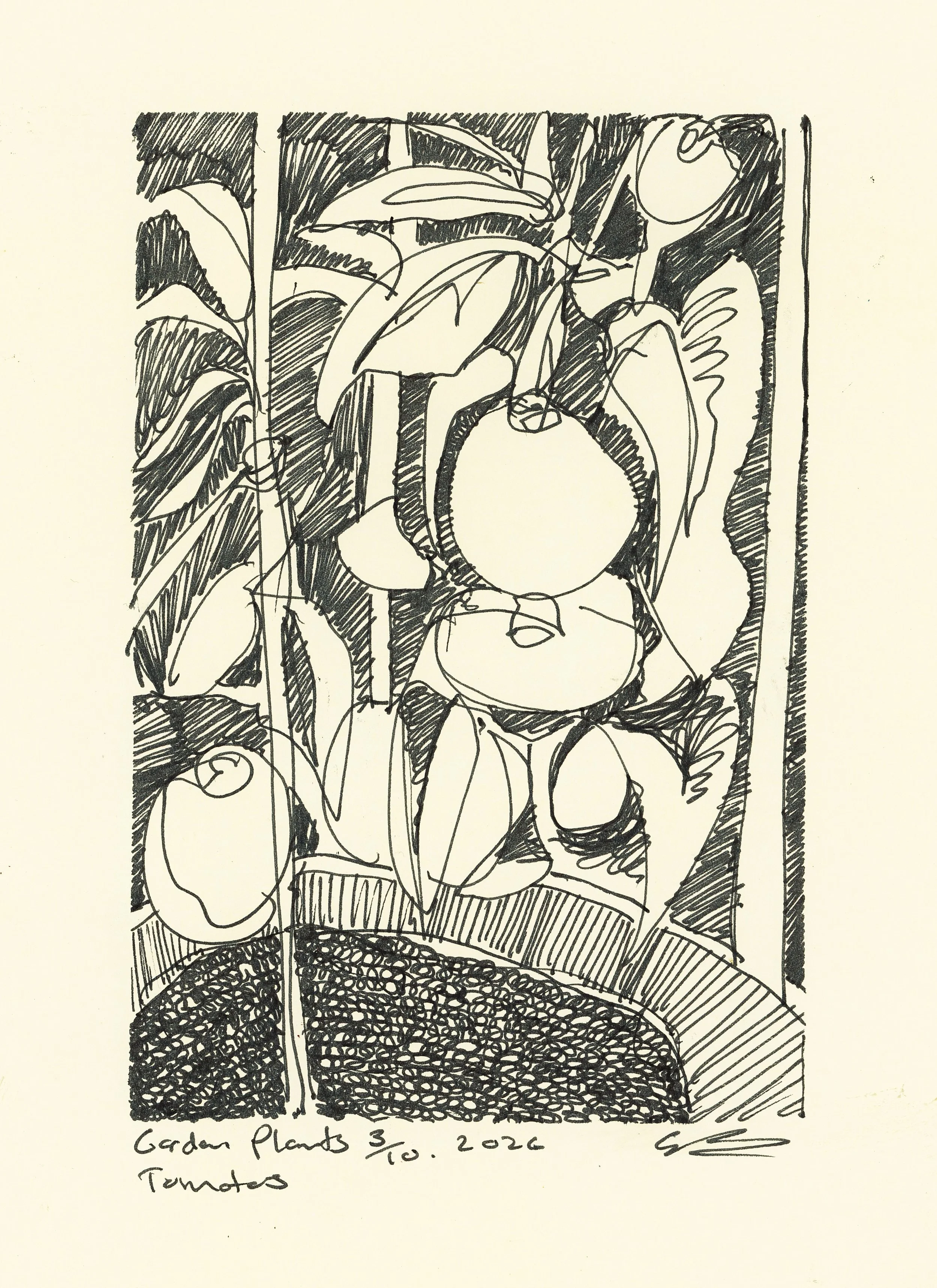 Cameron Bridgeman 2.jpg