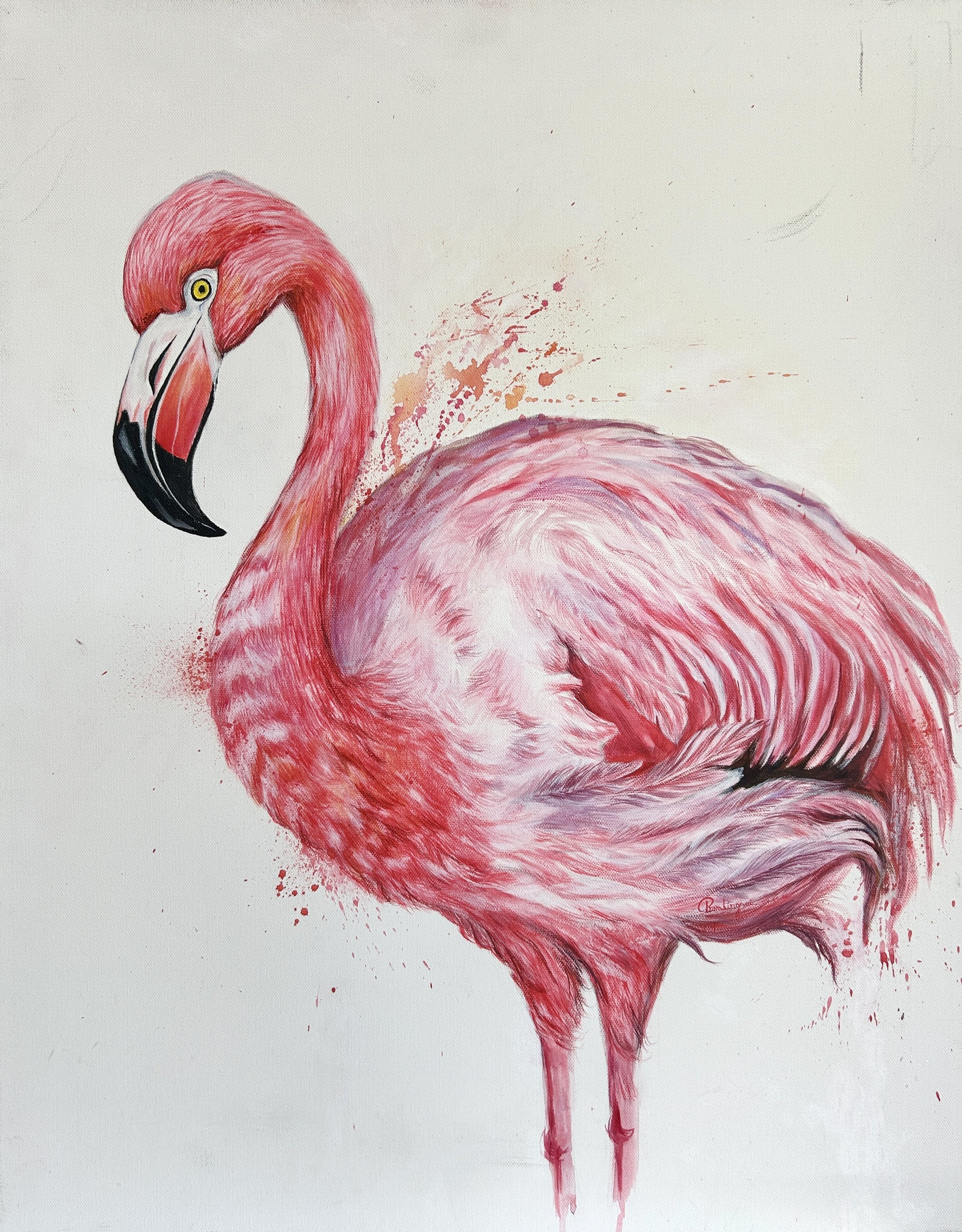 Reena Rai - Flamingo 2024.jpeg