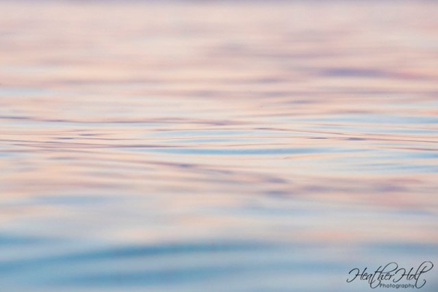 Heather_Holt_Photography_Fine_Art_Cayman_Islands_002_logo.jpeg