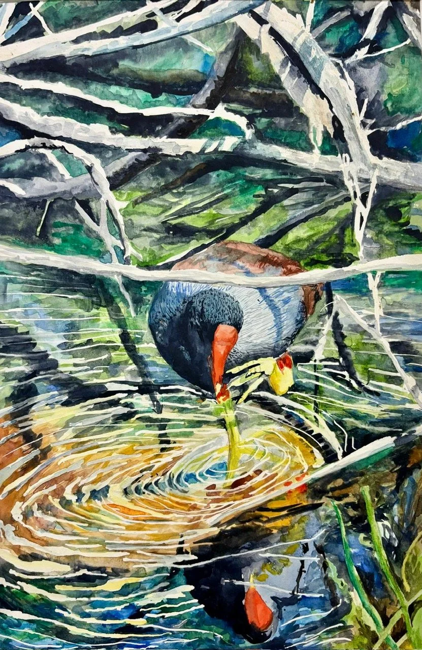 192832277_nature_scene_1.jpg