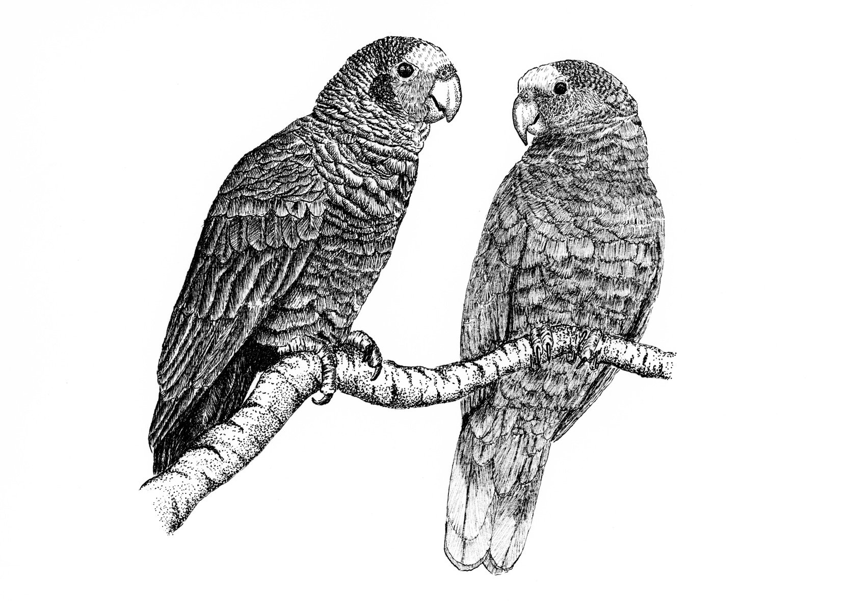 image7.jpeg