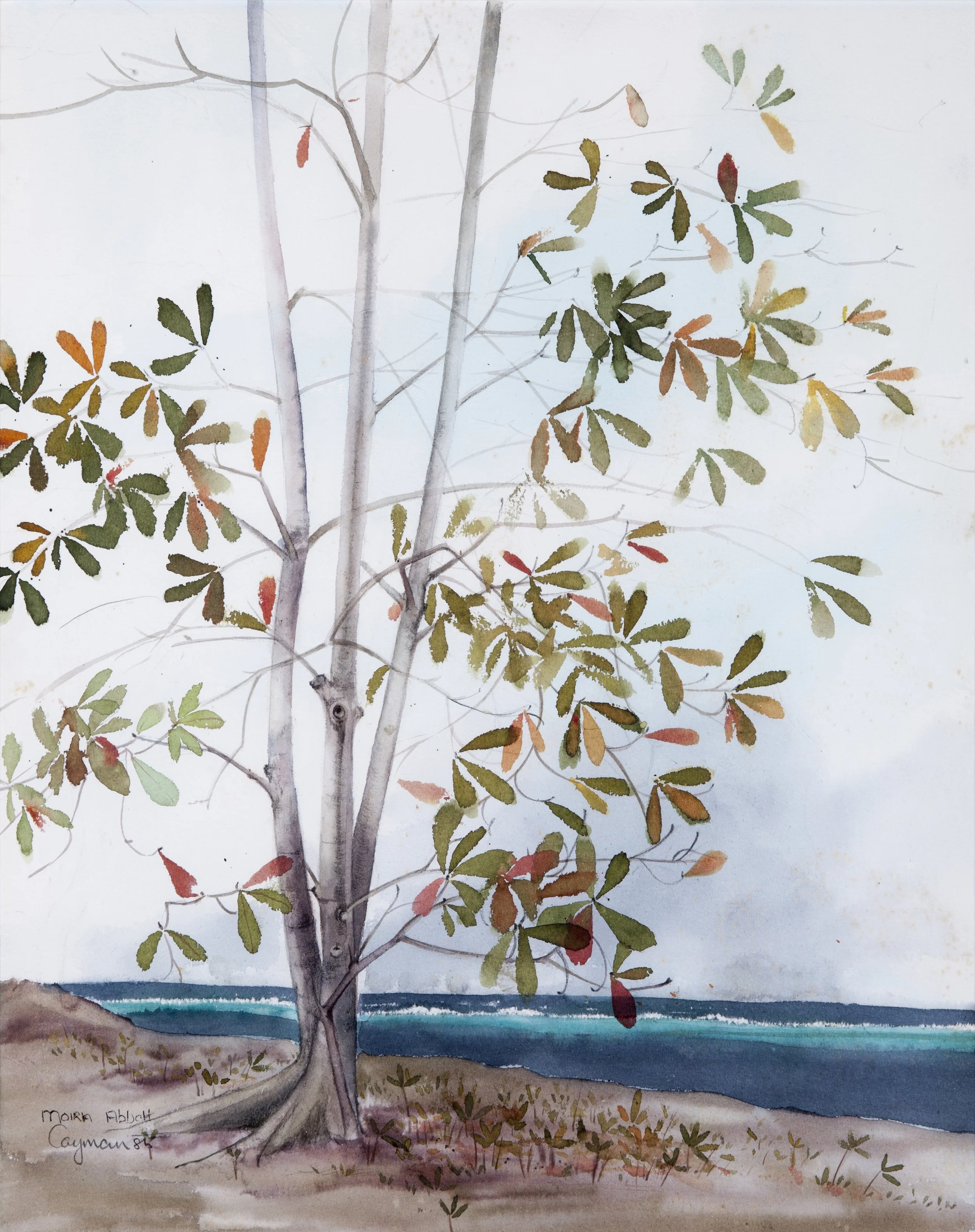 Previously Printed Abbott,Moira - Almond Tree_1985.jpg