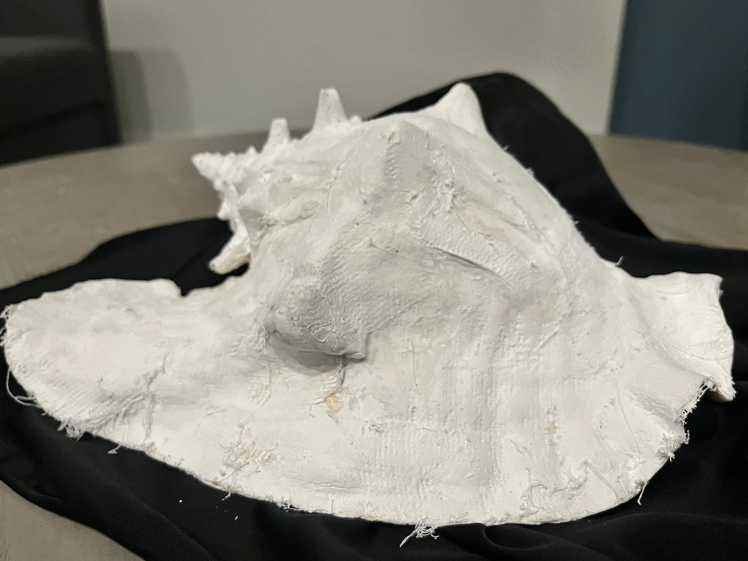 192832277_img_2097.jpeg