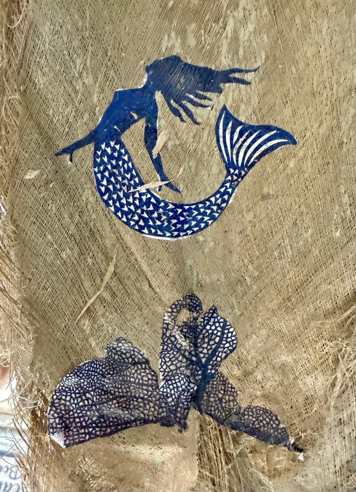 Seahorse-Boutique-Little-Cayman-00001.jpeg