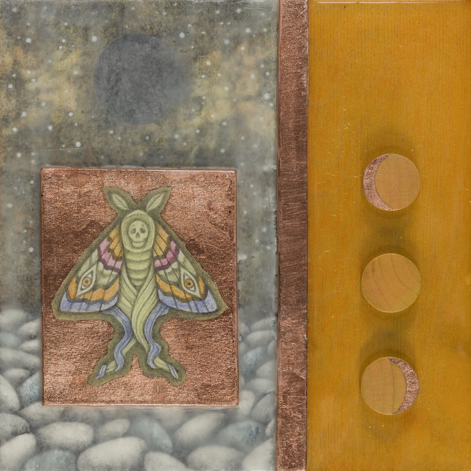 shelleyjund.com-4-winged -adventurer-of-the-new -moon.jpg