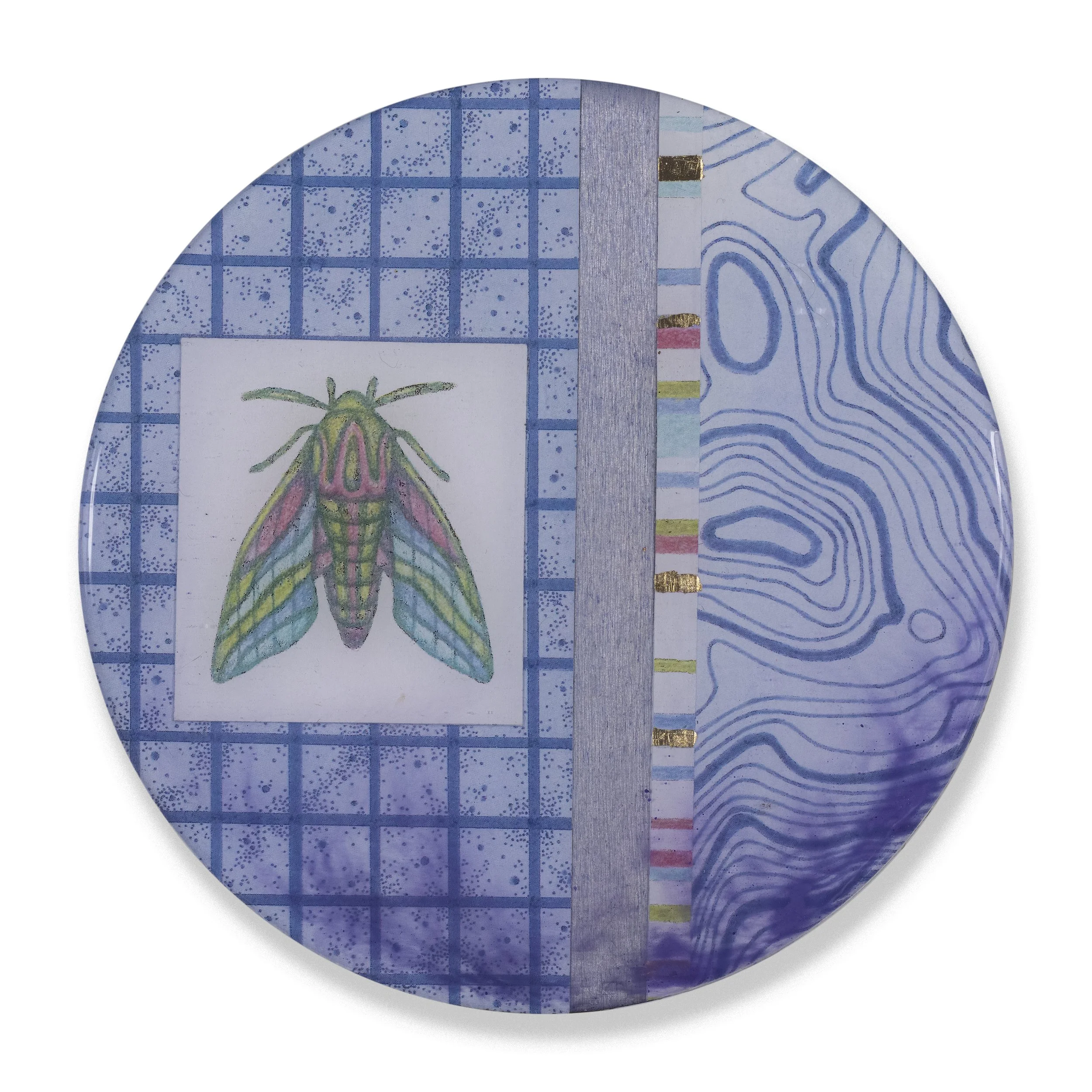 Poetic Proliferations: Hawk Moth