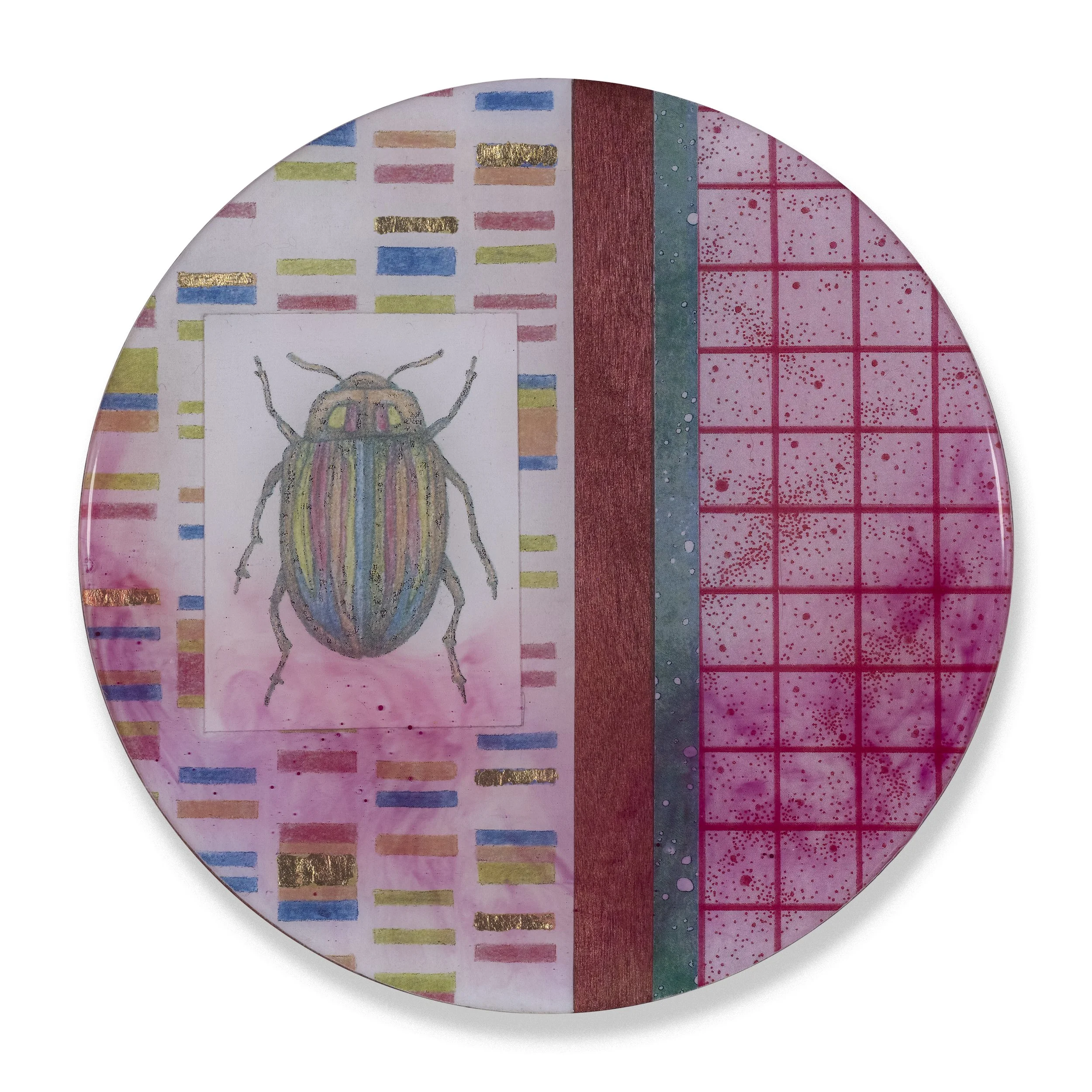 Poetic Proliferations: Rainbow Leaf Beetle