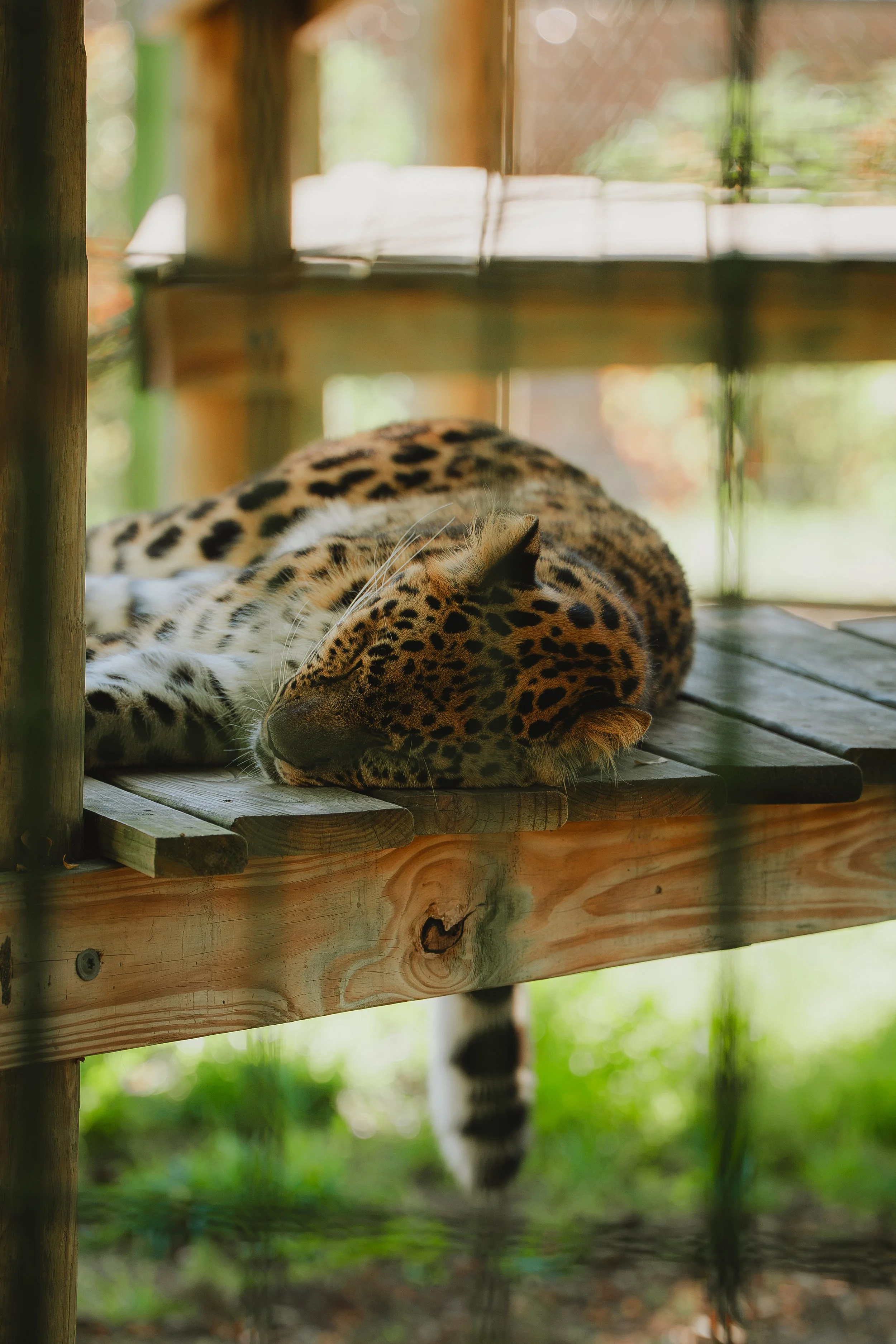 Zoo October 2026-13.jpg