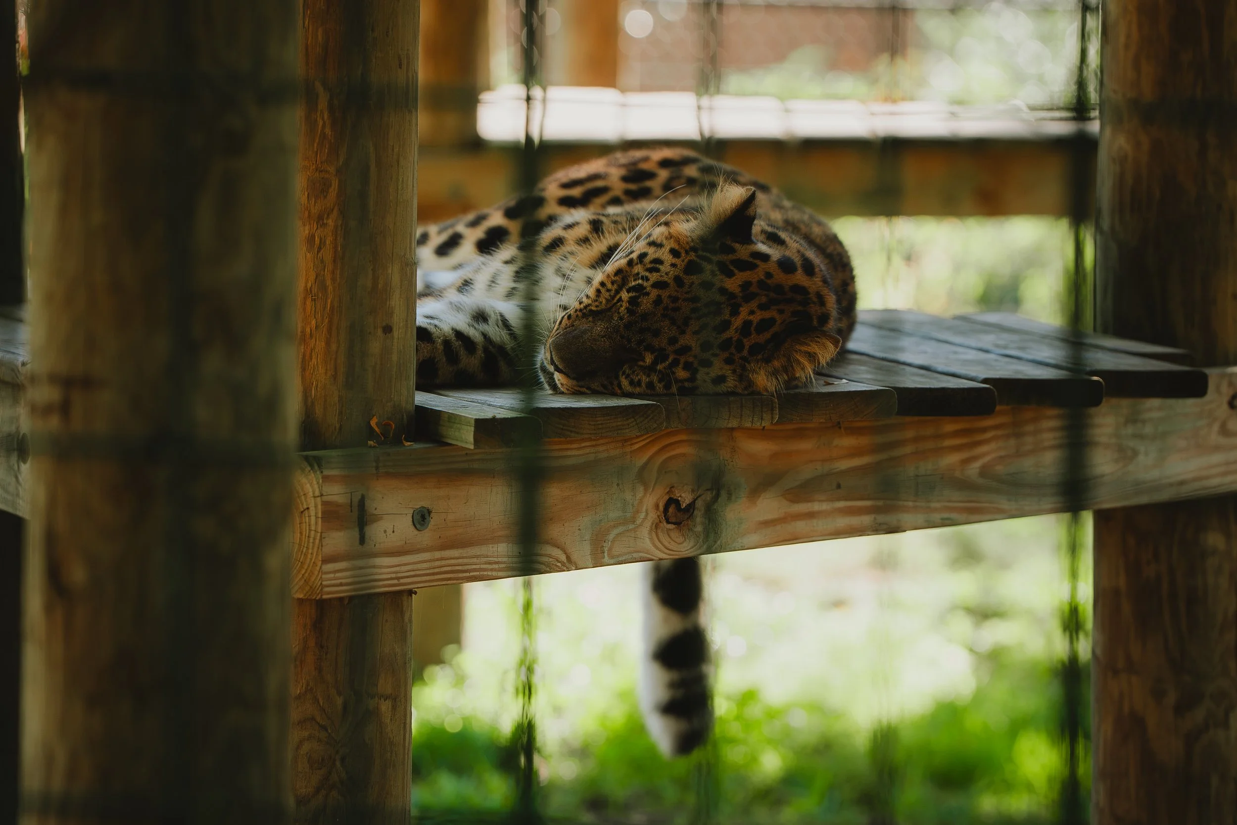 Zoo October 2026-14.jpg