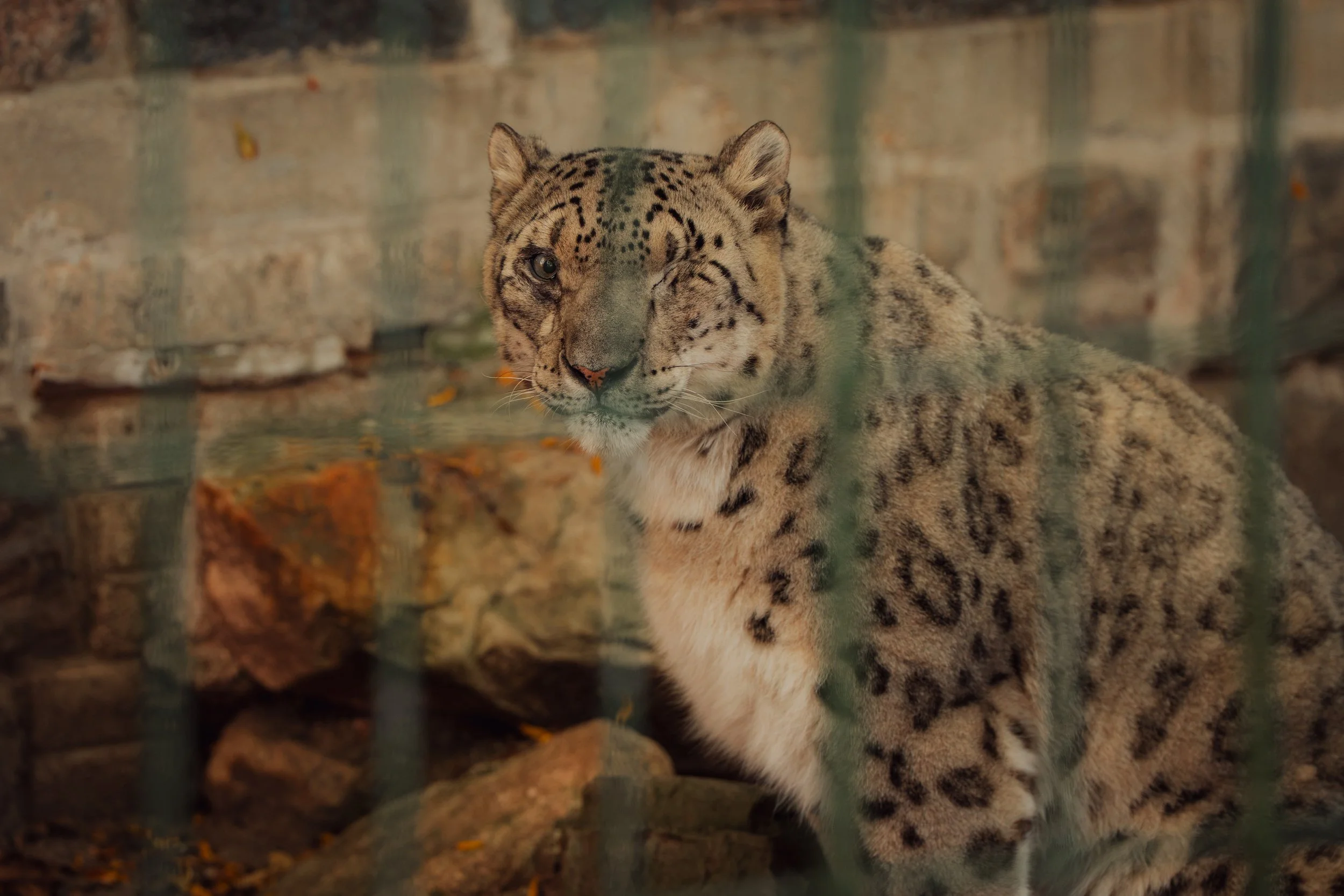 Zoo October 2026-10.jpg