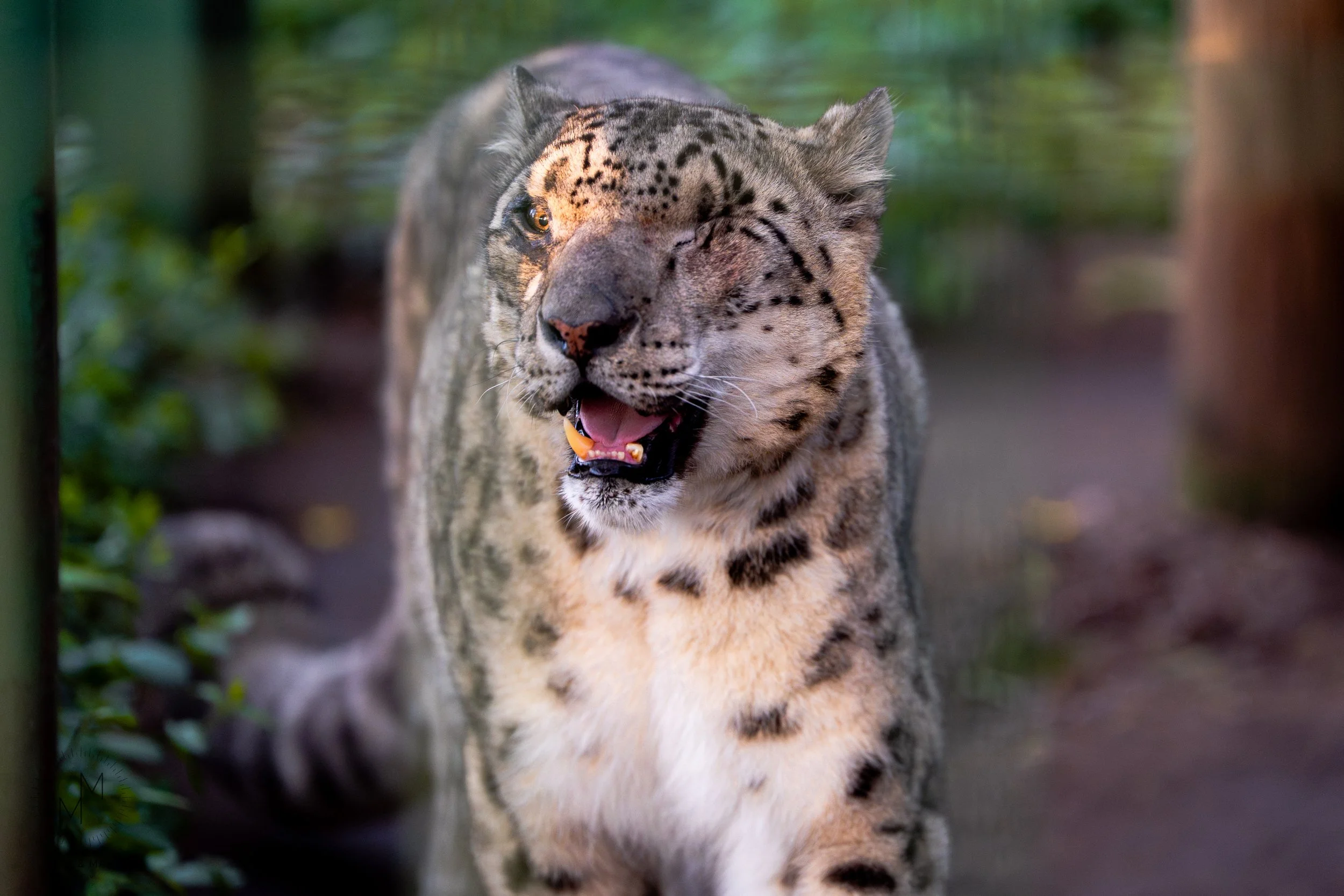 ZOOLUMFULL2026-17.JPG