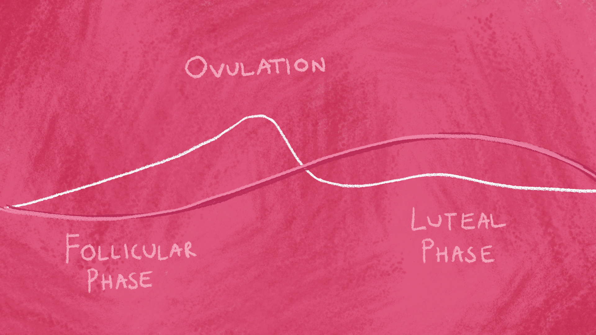 Animation snapshot 12.png