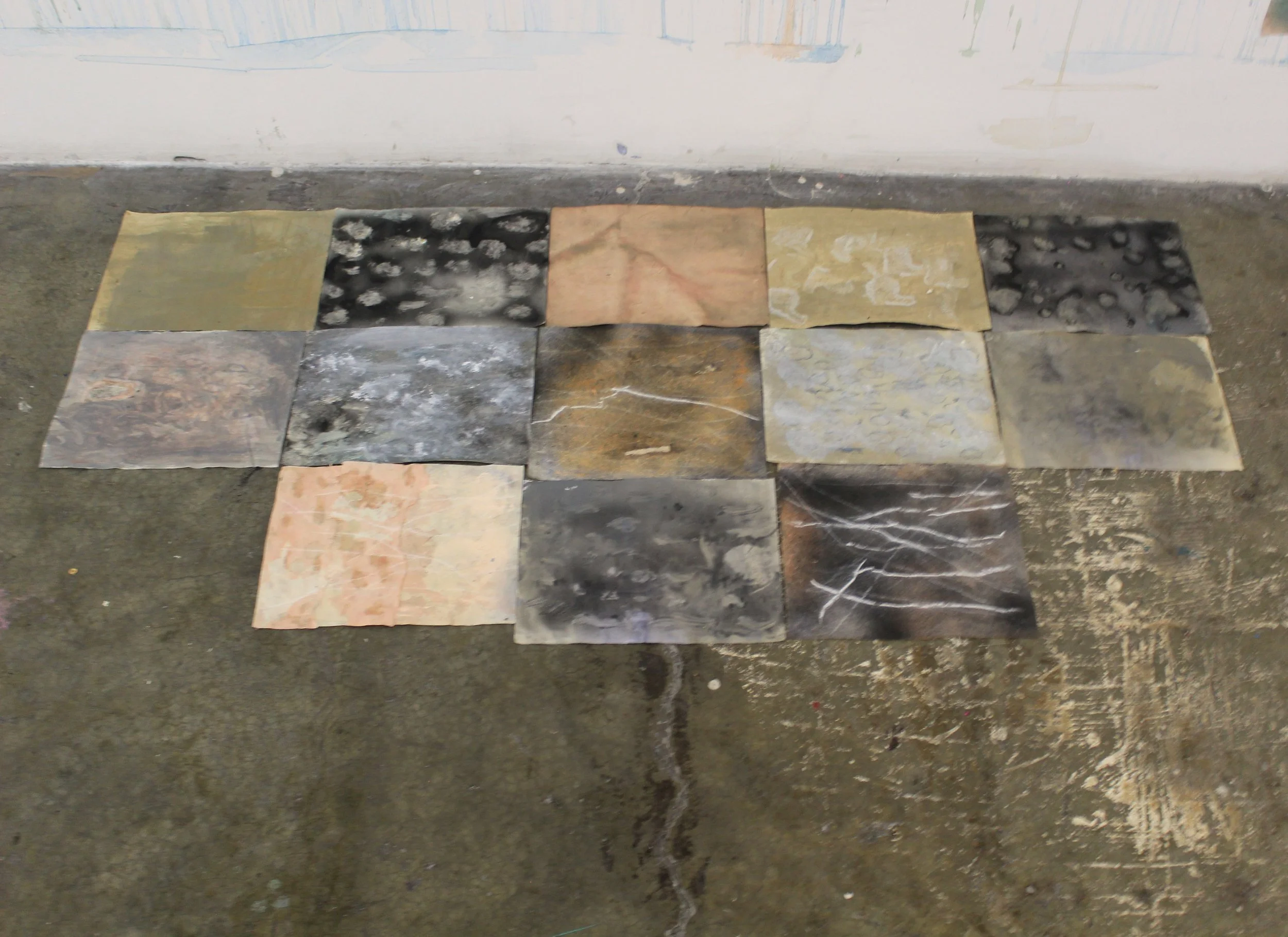 Viviana Lorenzo