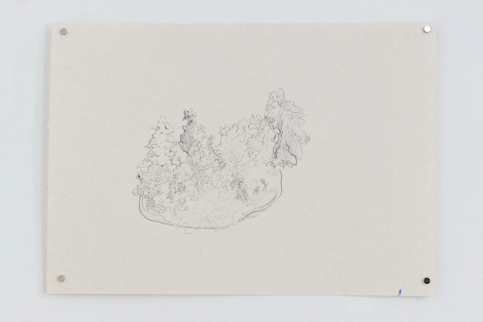 WhatsApp Image 2026-03-02 at 10.48.54.jpeg