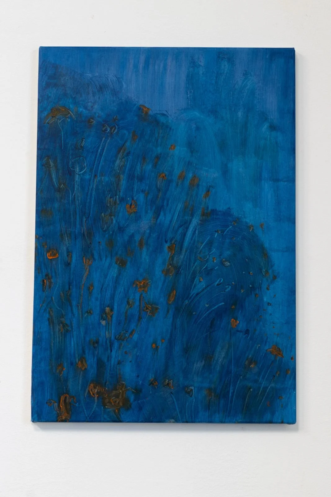 WhatsApp Image 2026-03-02 at 10.48.58.jpeg