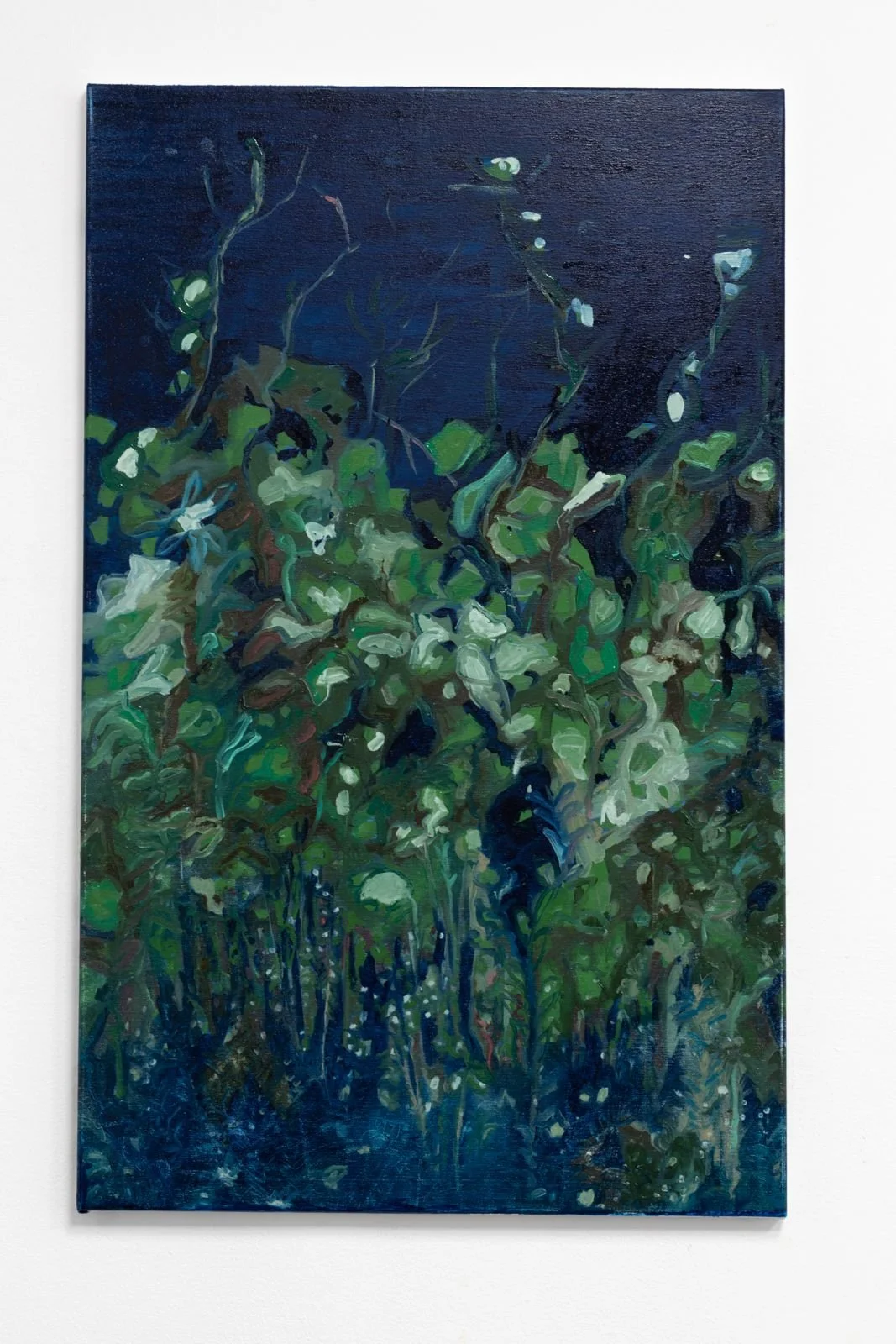 WhatsApp Image 2026-03-02 at 10.48.57 (1).jpeg