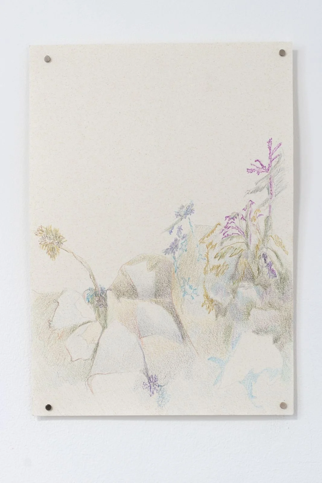 WhatsApp Image 2026-03-02 at 10.48.53 (1).jpeg