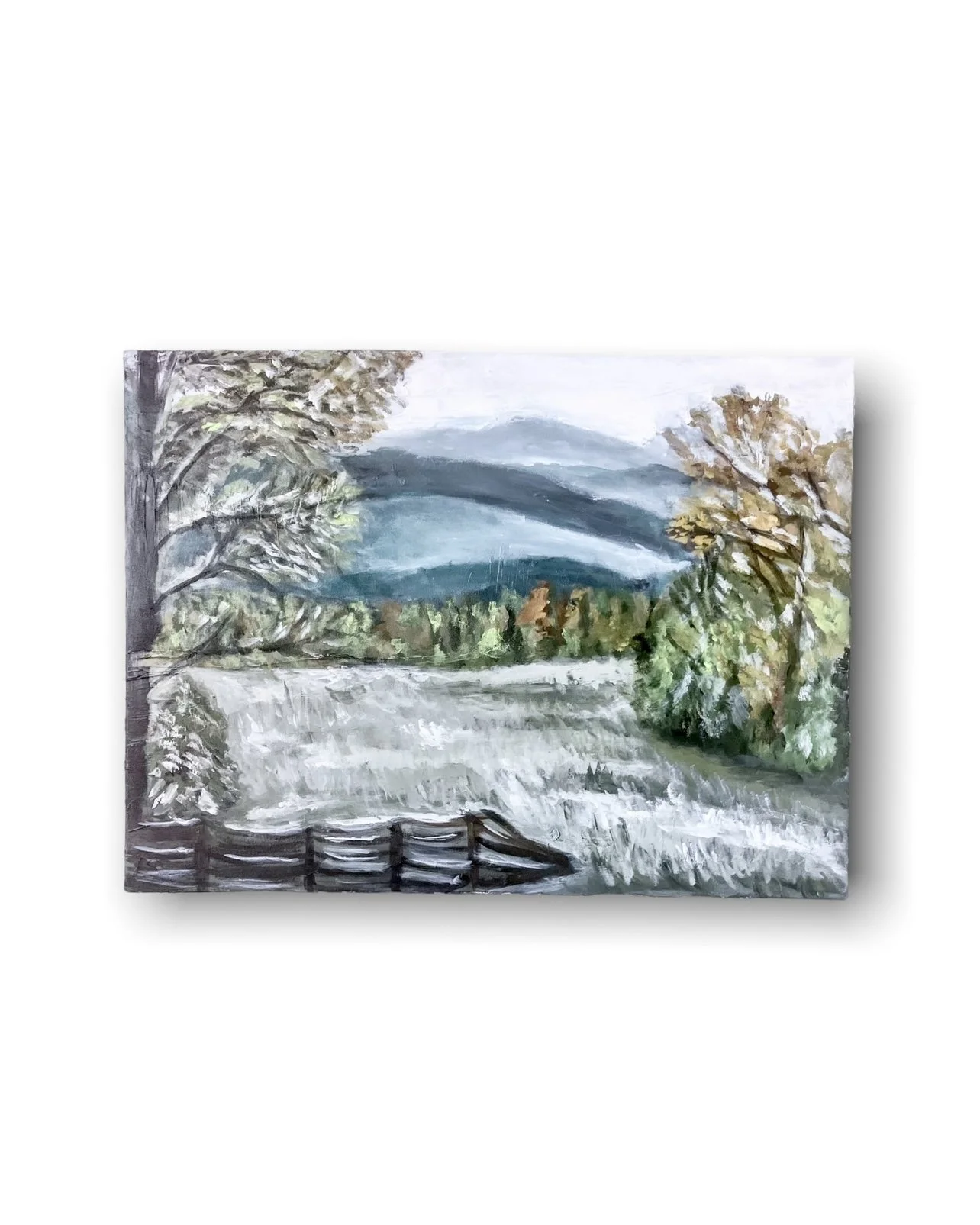 Frosty Fields.jpg