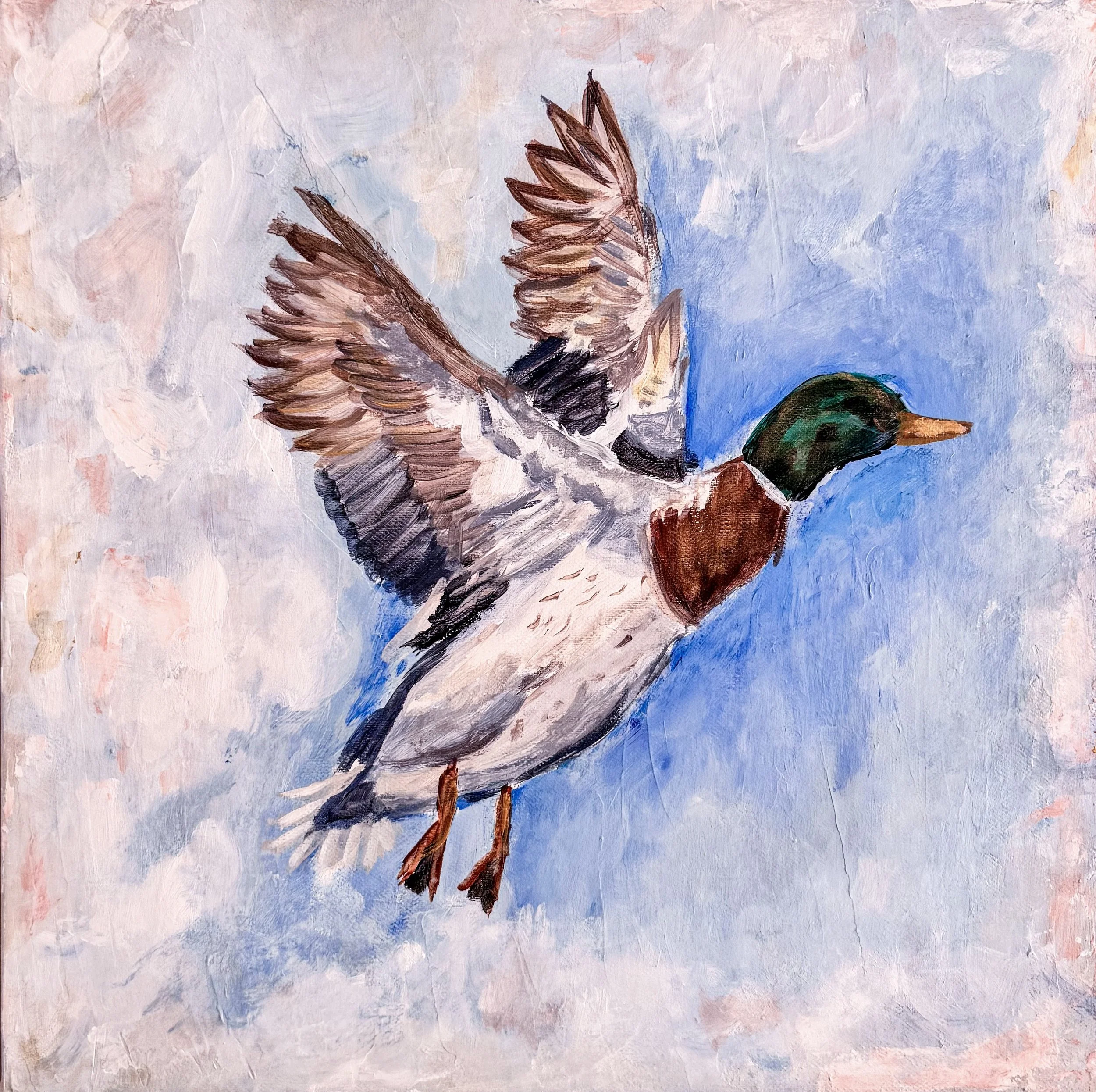 Flying Mallard closeup.jpg