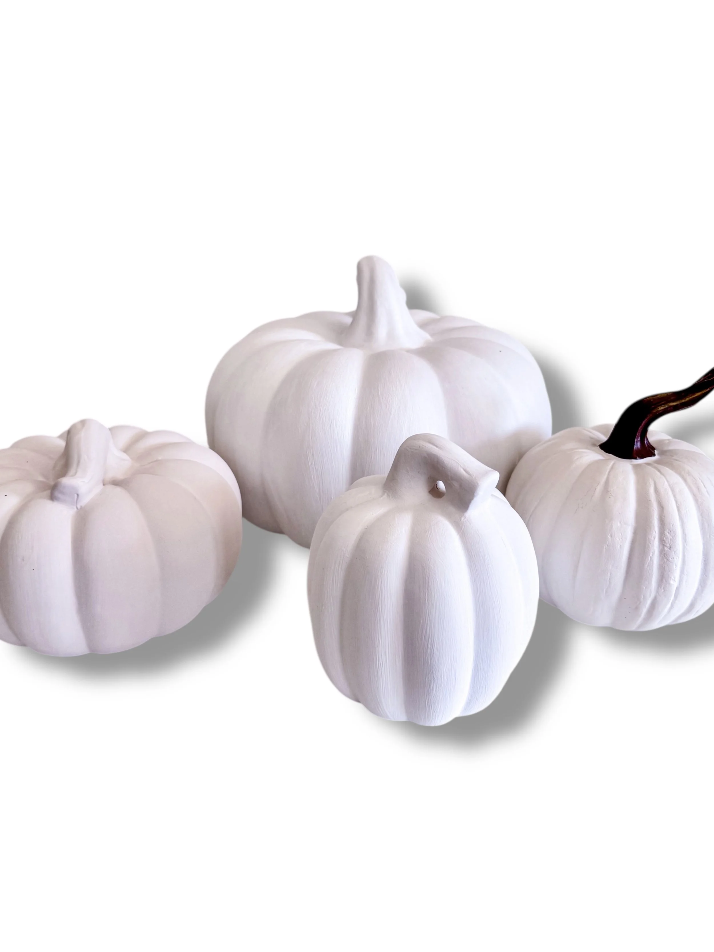 Blank Ceramic Pumpkins for customization-2.jpg