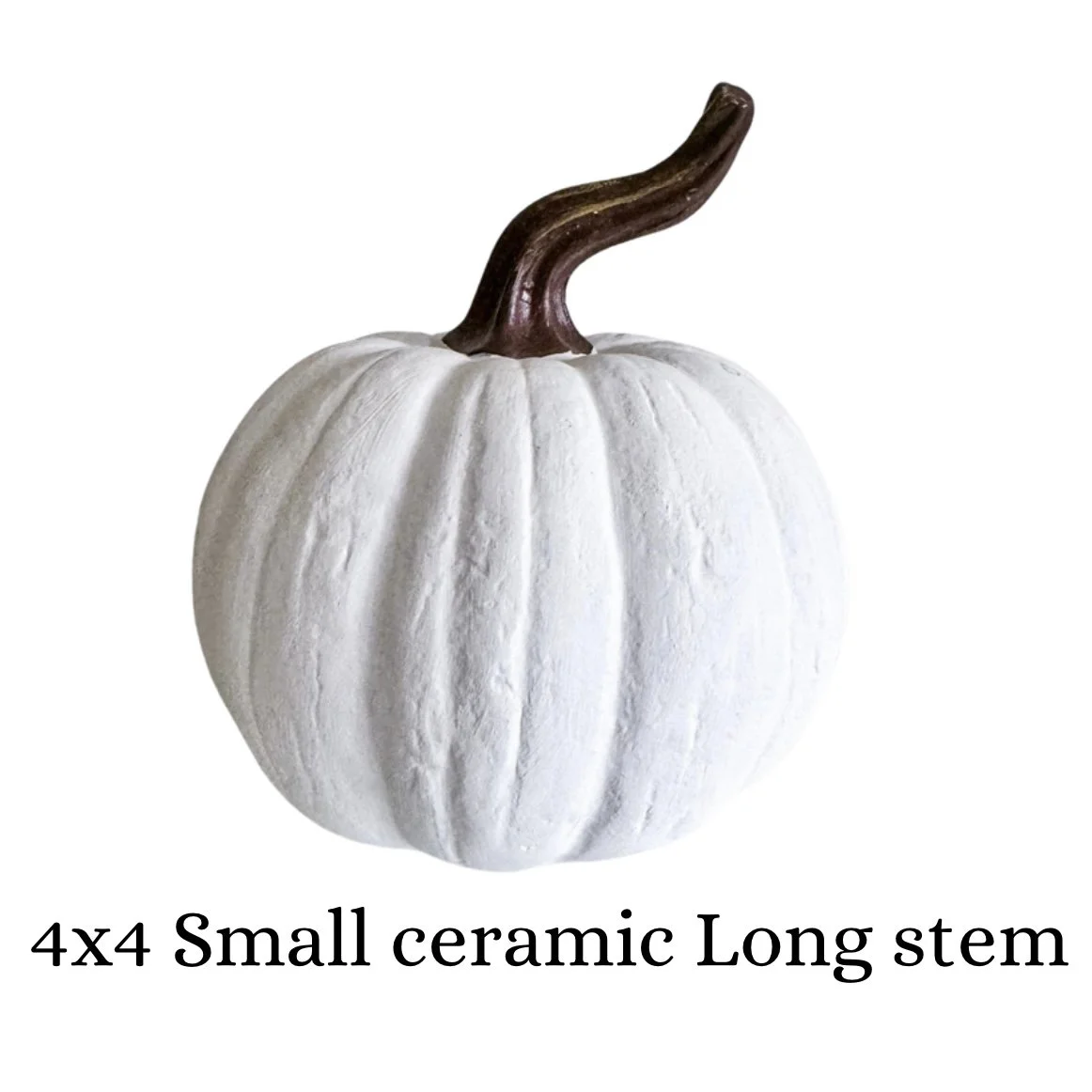 Small Pumpkin with Long stem.jpg