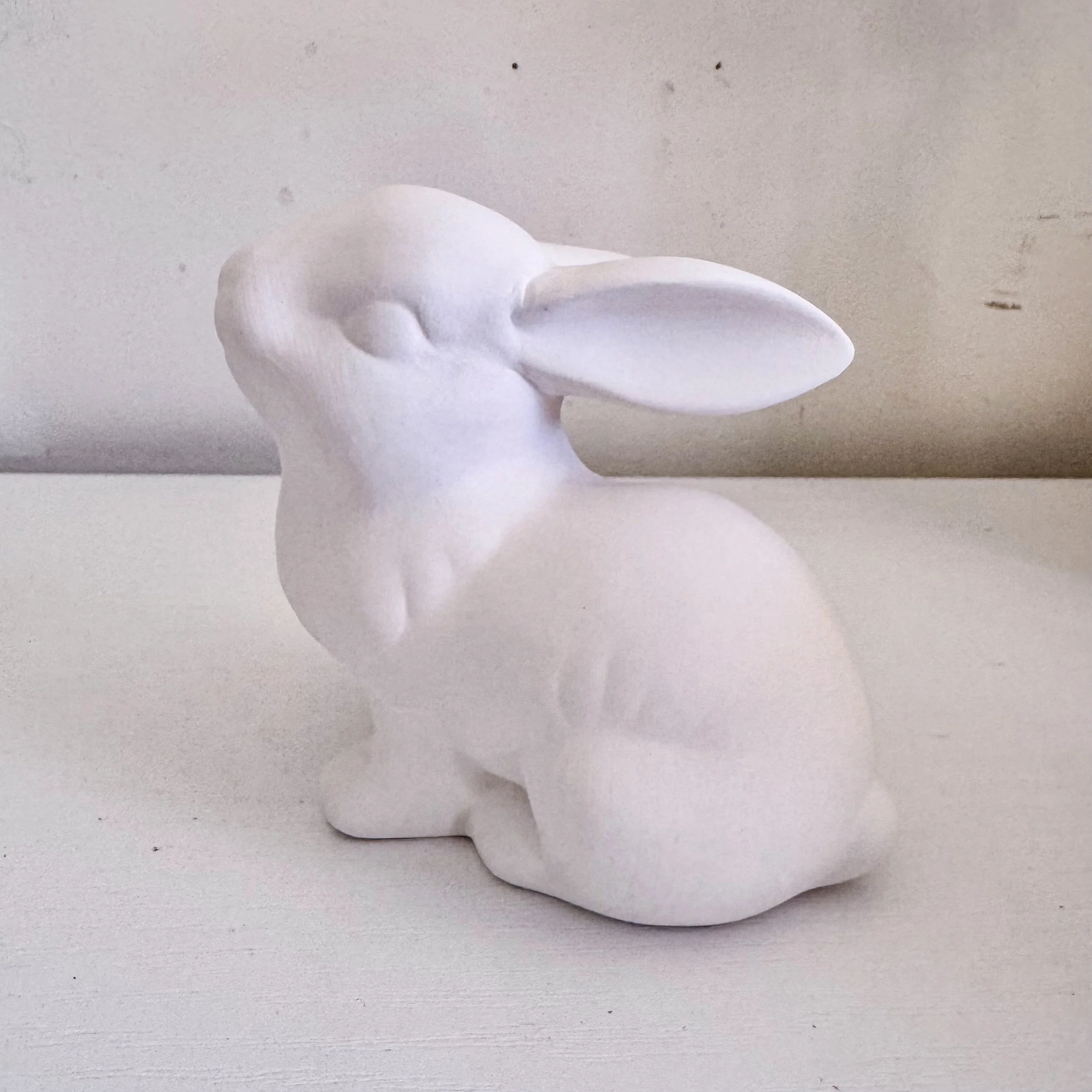 Custom Bunny.jpg